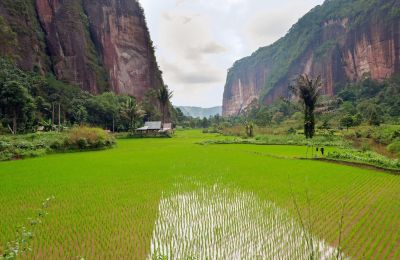 Jour 12 : Trek vallée de Harau - Padang