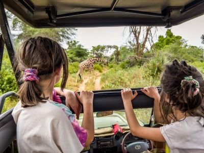 enfant dans un 4x4 en plein safari au kenya
