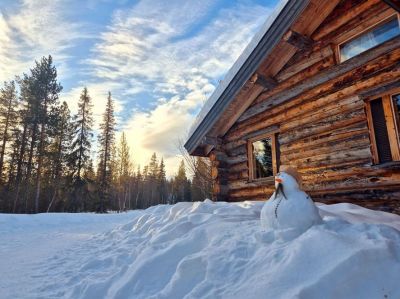Récit de voyage en Laponie : Un chalet au cœur de la forêt boréale