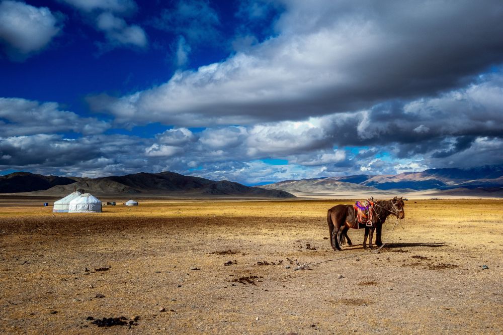 campement nomade au coeur des steppes, voyage en mongolie - &copy; Nicolas Fragiacomo