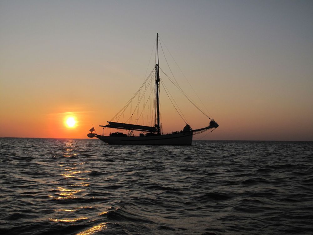 Croisière naturaliste - &copy; Lola-of-skagen