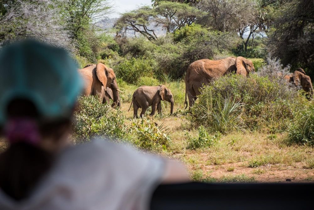 voyage et safari en famille au kenya - &copy; Sylvain Lefebvre