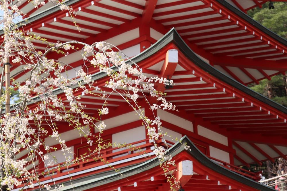 maison typique voyage au Japon - &copy; Stéphanie Kergourlay