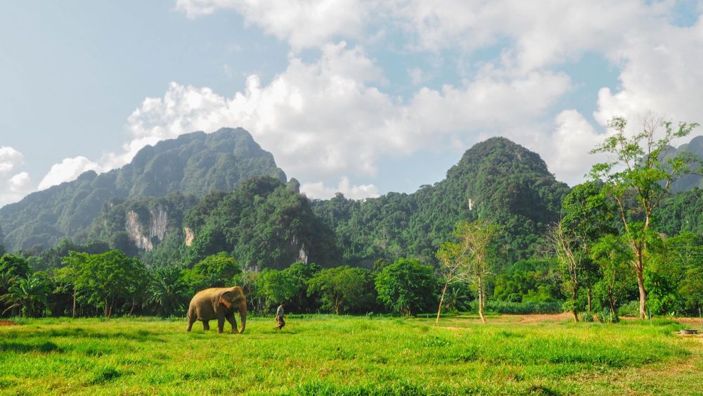 voyage sur mesure en thailande - &copy; Terres Oubliées