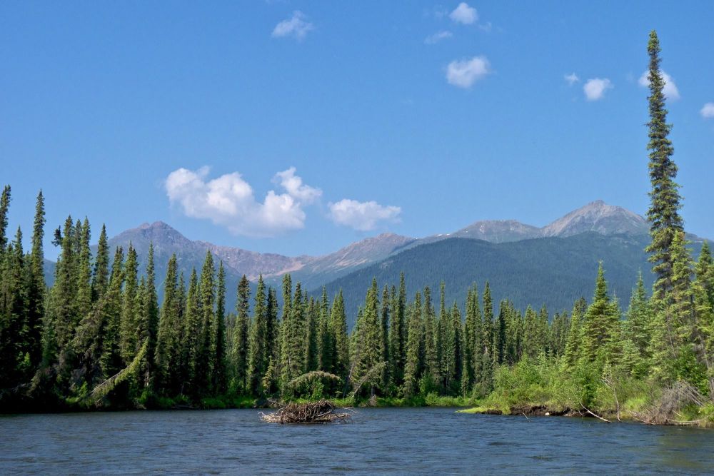 paysage de lac et de sapins au canada - &copy; Terres oubliées