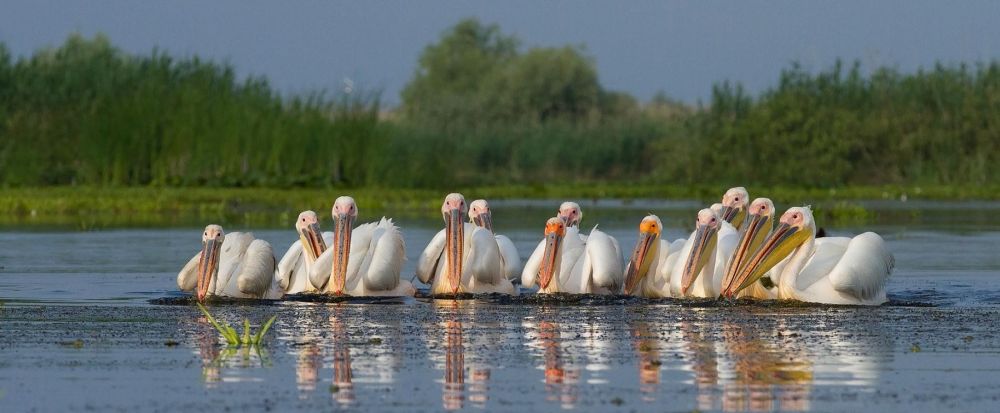 voyage photo en roumanie - &copy; Laurent Cocherel