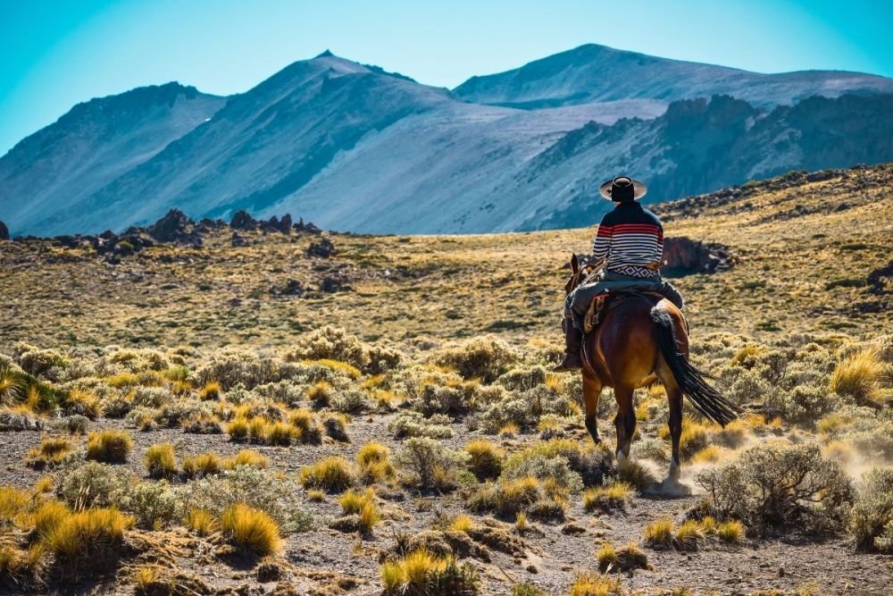 gaucho sur son cheval dans la pampa - &copy; Cristian Martin