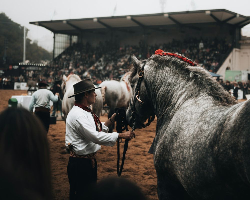 feria et rencontre de gaucho en argentine - &copy; Fermin Rodriguez Penelas