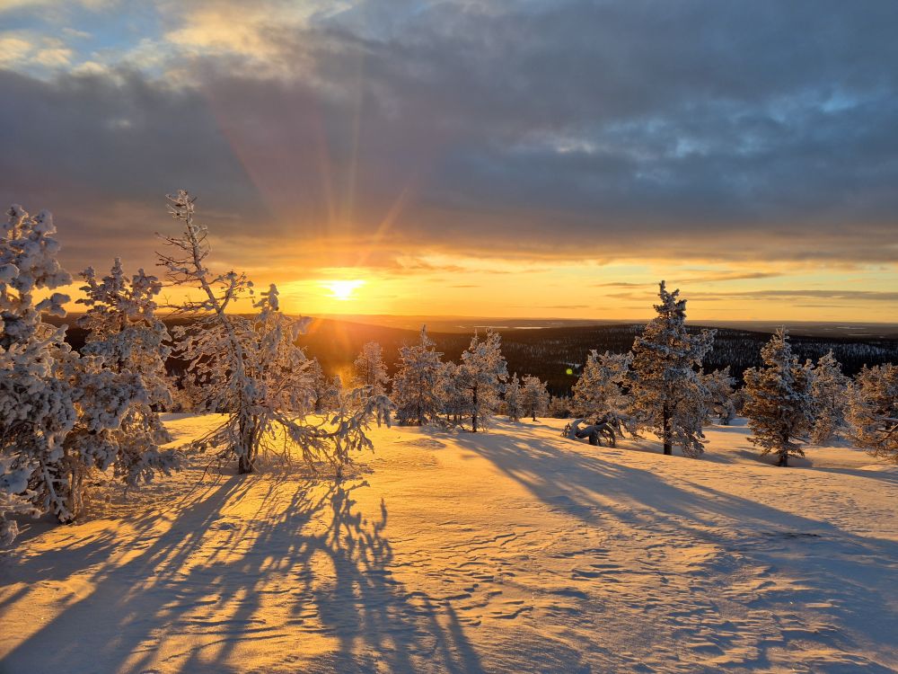 coucher de soleil sur la taiga finlandaise - &copy; Ana Cacheira Poinson