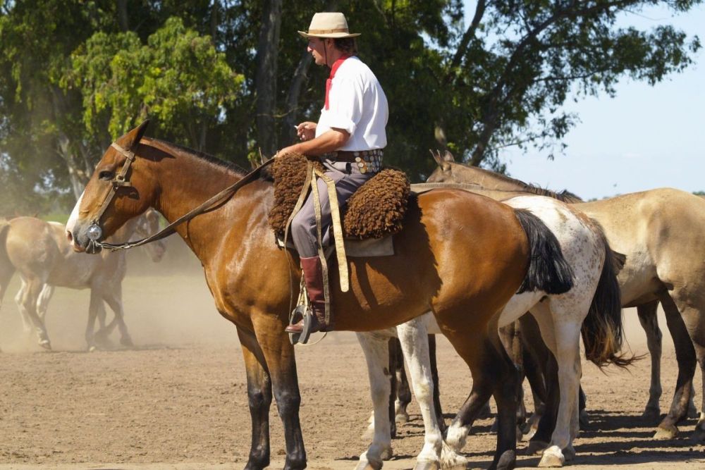Gaucho sur son cheval en patagonie - &copy; Canva