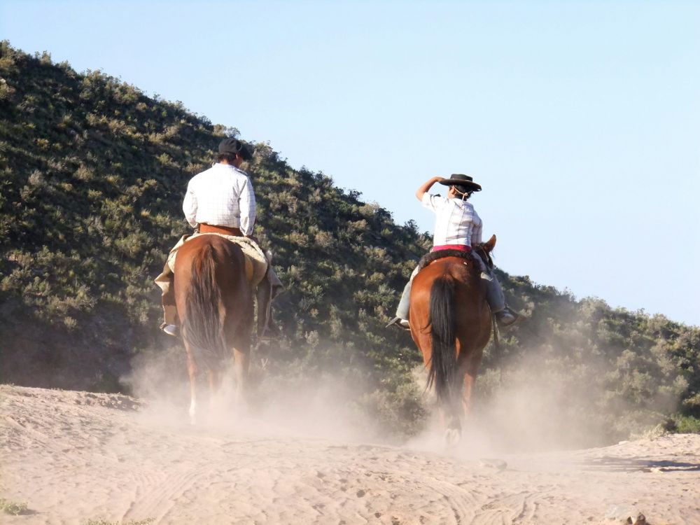 gauchos sur leur cheval en patagonie - &copy; Luisa E.