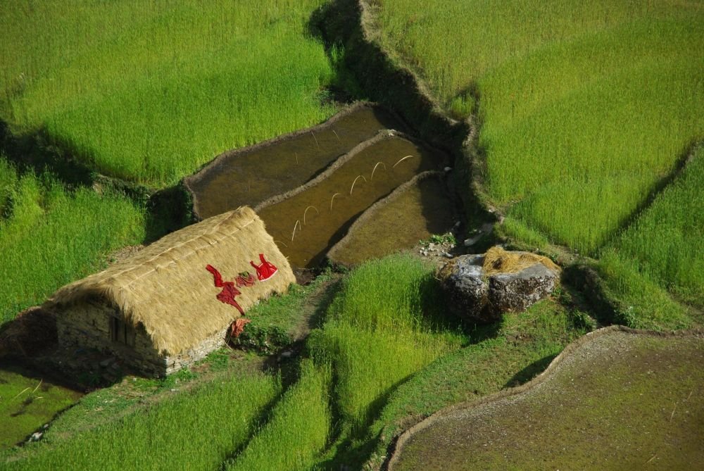paysage verdoyant au nepal - &copy; Alexandre Ulcakar