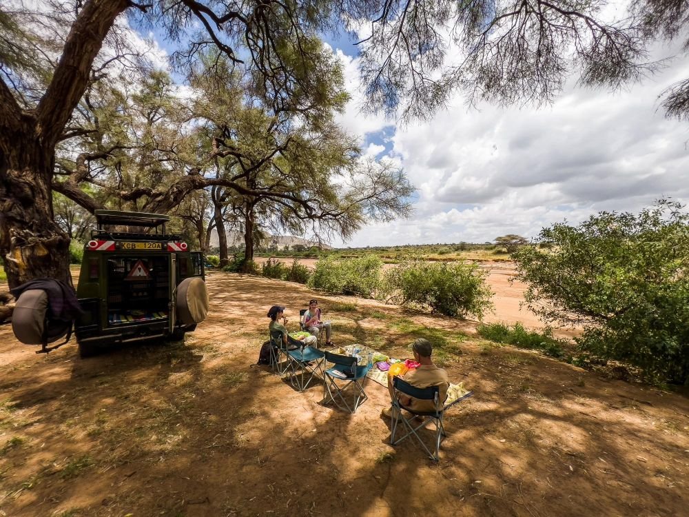 pause déjeuner au coeur de la savane - &copy; Sylvain Lefebvre