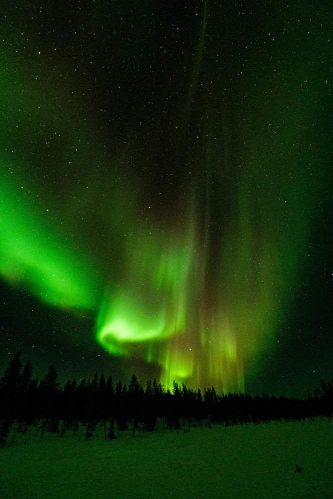 magnifique aurore boréales en laponie - &copy; Nicolas Fragiacomo