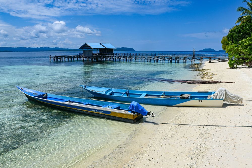 plage paradisiaque des raja ampat - © Snapsaga