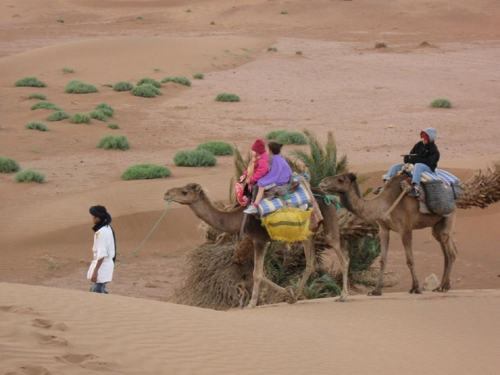 Randonnée chamelière dans le désert marocain - © Marie Agoujil
