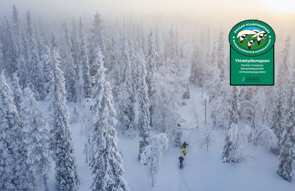 Sortie raquette au coeur de la foret enneigée de loaponie - &copy; Emmanuel Berthier