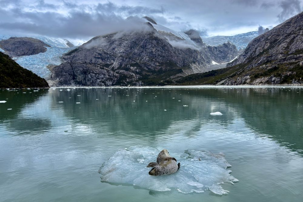 voyage au coeur de la cordillère darwin - &copy; Matthieu Reynier