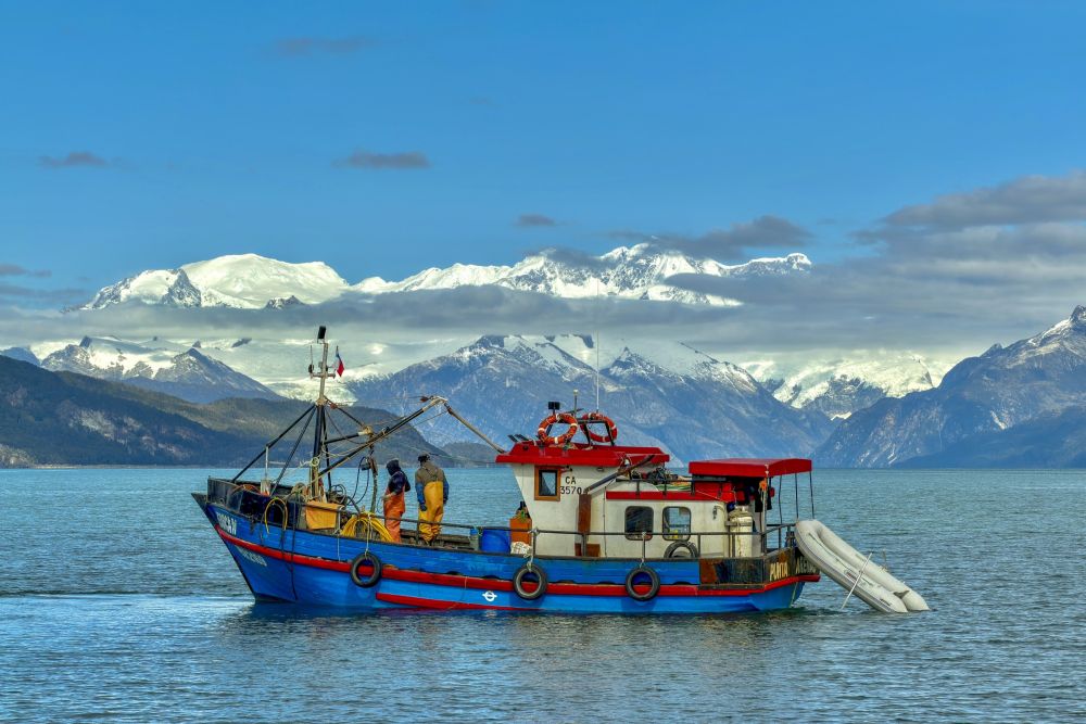 voyage au coeur de la cordillère darwin - &copy; Matthieu Reynier