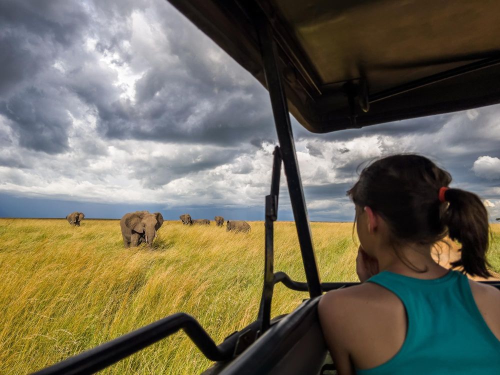 safari dans le maasai mara au kenya - &copy; Sylvain Lefebvre