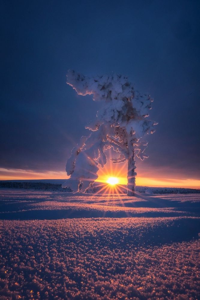 lumières boreales en laponie - &copy; Nicolas Fragiacomo