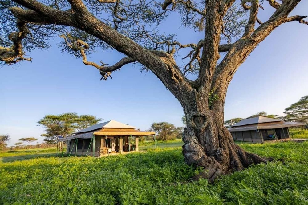 safari en lodge en Tanzanie - &copy; Terres Oubliées