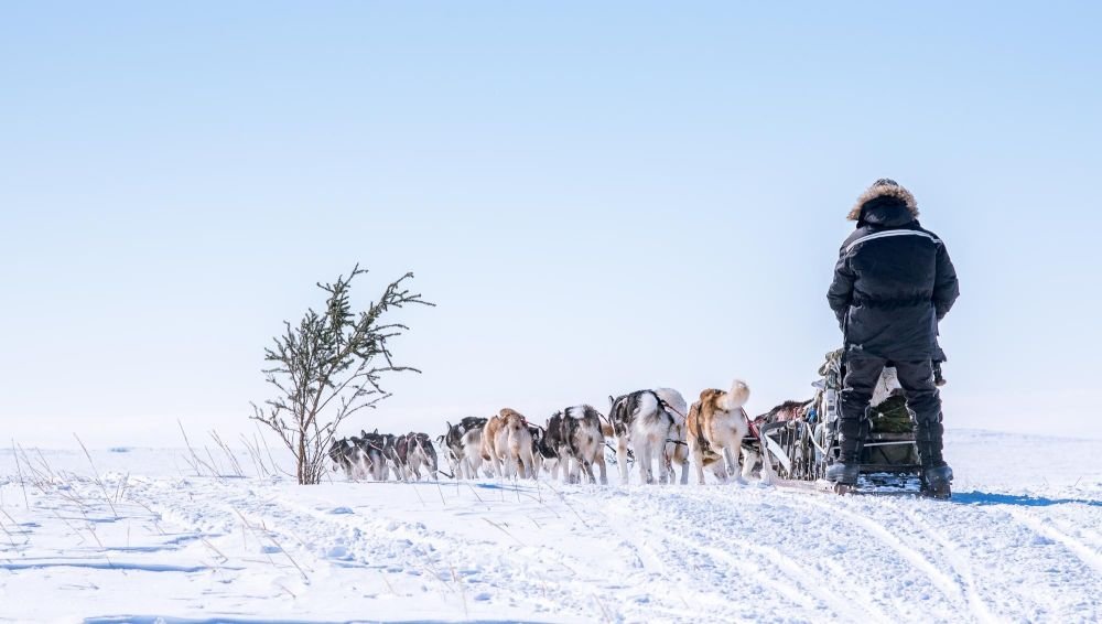 voyage en traineau à chiens au Canada - &copy; JC Brun