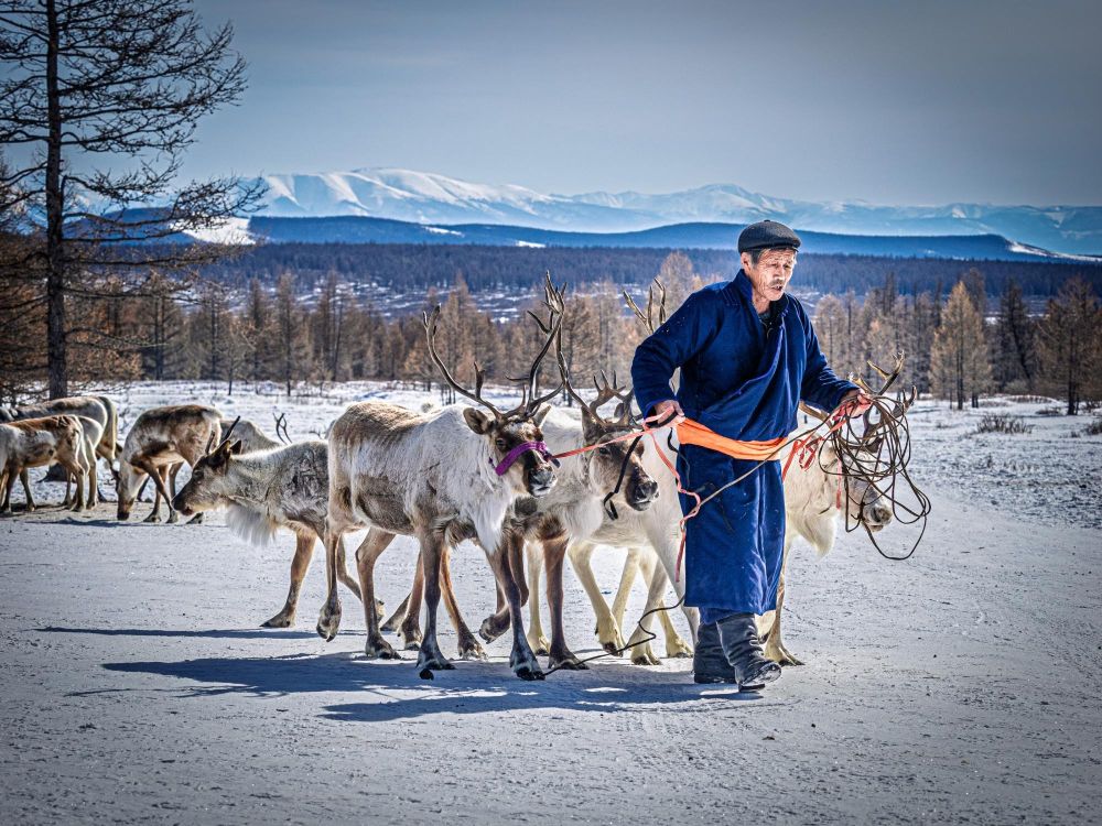 eleveurs de rennes en mongolie - &copy; Nicolas Fragiacomo