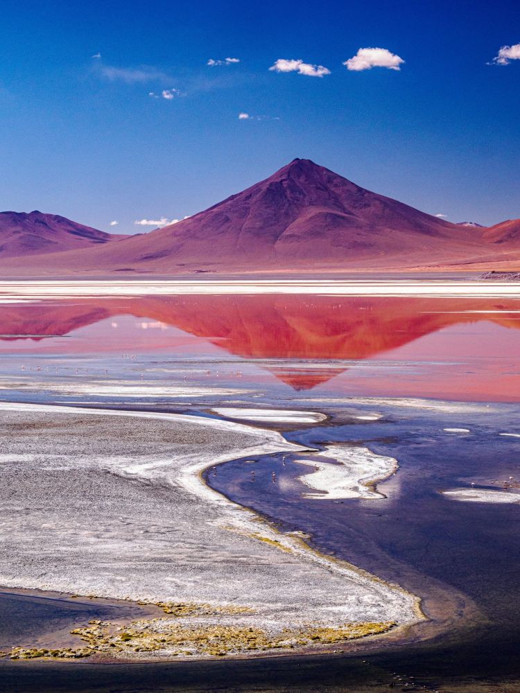 laguna colorada atacama - &copy; Nicolas Fragiacomo