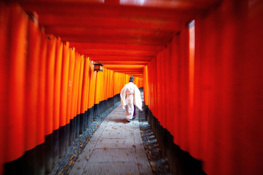 allée de colonnes oranges au japon - &copy; NH 的影像