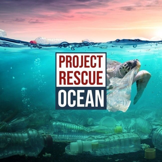 visuel de l'association Ocean Rescue - &copy; Ocean Rescue