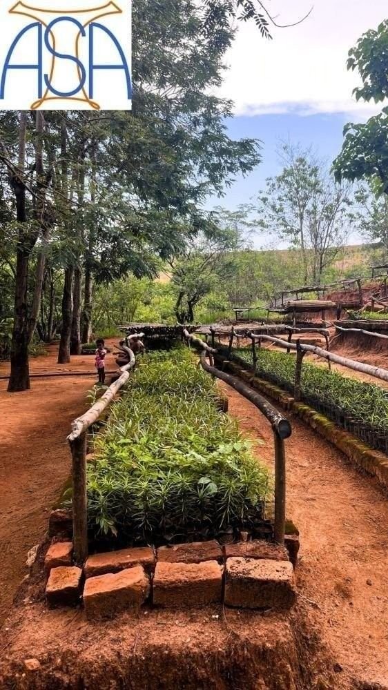 &copy; ASA Madagascar