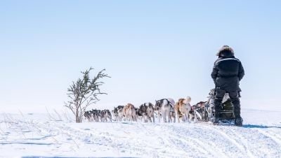 raid polaire en traineau a chiens au Canada - &copy; Terres Oubliées