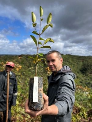 au coeur de la forpet tropicale au costa rica - &copy; Sylvaine Lefebvre