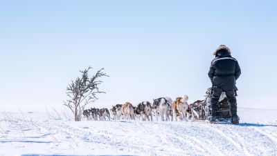 raid polaire en traineau a chiens au Canada - &copy; Terres Oubliées