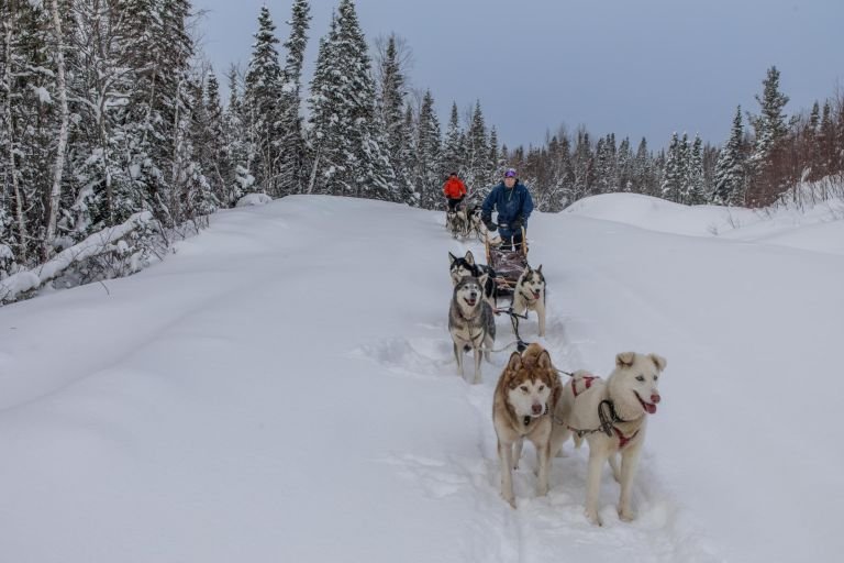 Canada - Raid en traîneau à chiens au Québec, l'aventure polaire hors-piste