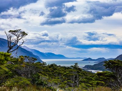 Patagonie - Exploration de la Cordillera Darwin et de la Terre de Feu