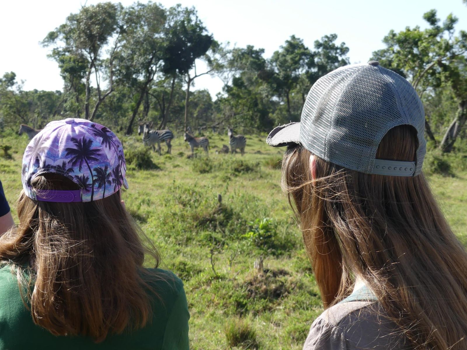 Eden africain : safari en famille