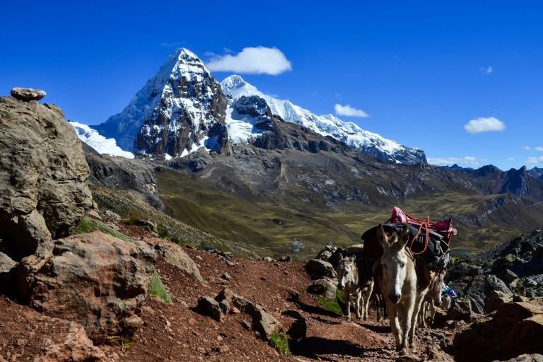 Pérou - Machu Picchu et trek de la Cordillère de Huayhuash