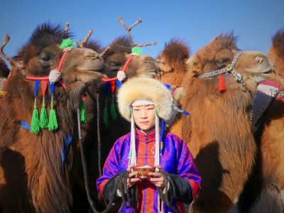 Mongolie - Voyage photo :  steppes et dunes du Gobi l'hiver, Festival des mille chameaux 