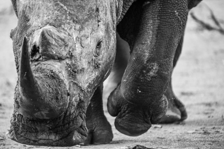 Kenya - Safaris et randonnée en pays Samburu