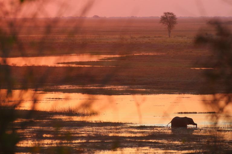 Botswana - Au cœur du Delta de l’Okavango