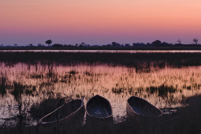 Botswana - Au cœur du Delta de l’Okavango