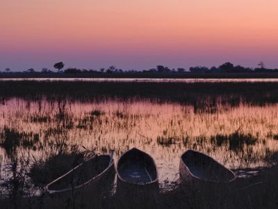 Botswana - Au cœur du Delta de l’Okavango