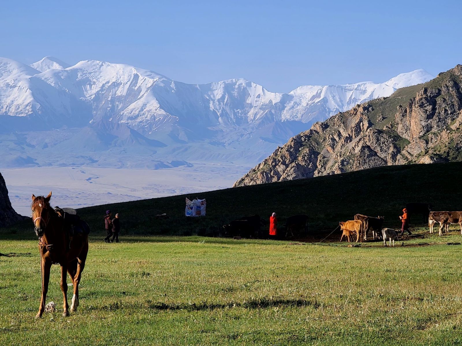 La vie nomade dans le Pamir kirghiz