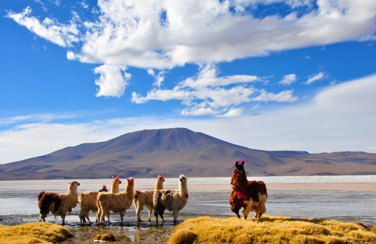 Bolivie - Chili - Atacama - Randonnées et rencontres en Atacama 