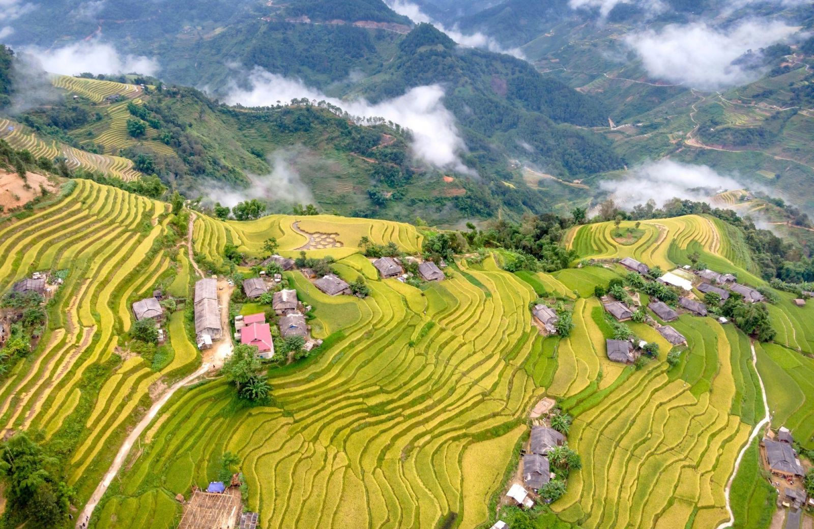 les rizières aux philippines