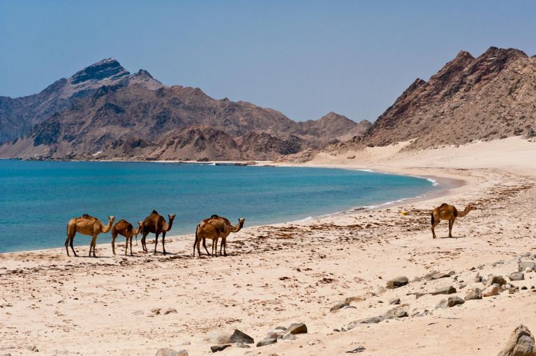 Oman - Voyage d'exploration au Dhofar et Rub Al Khali