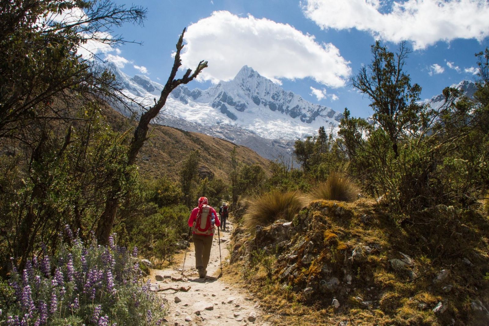 © Jean-Claude Colin - Grand trek de la Cordillère Blanche et ascension du Pisco Randonnée dans la Cordillère Blanche, Pérou