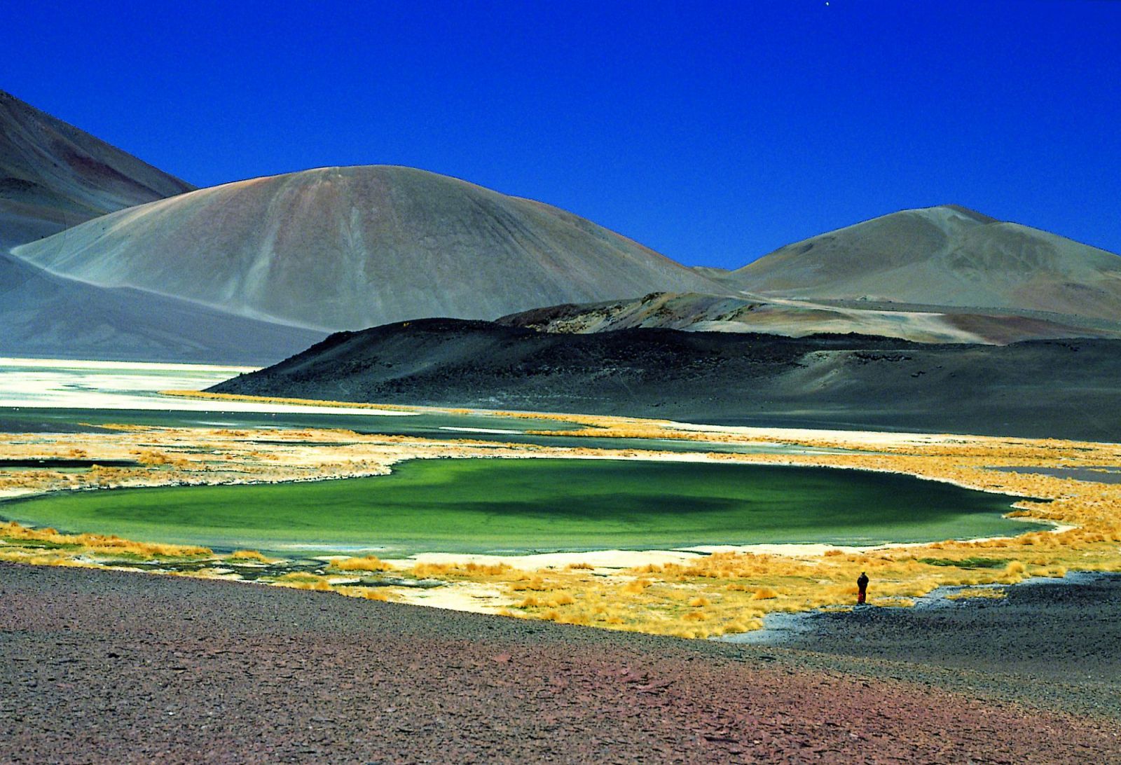 Lumières de l'Atacama vue sur lagune et montagne en Atacama